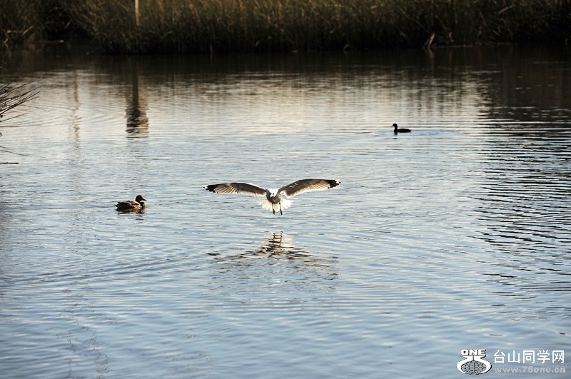 DSC_8622.JPG