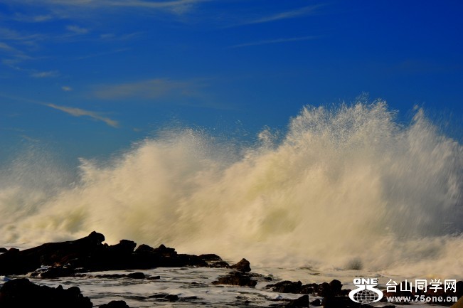 DSC_4249_conew1.jpg