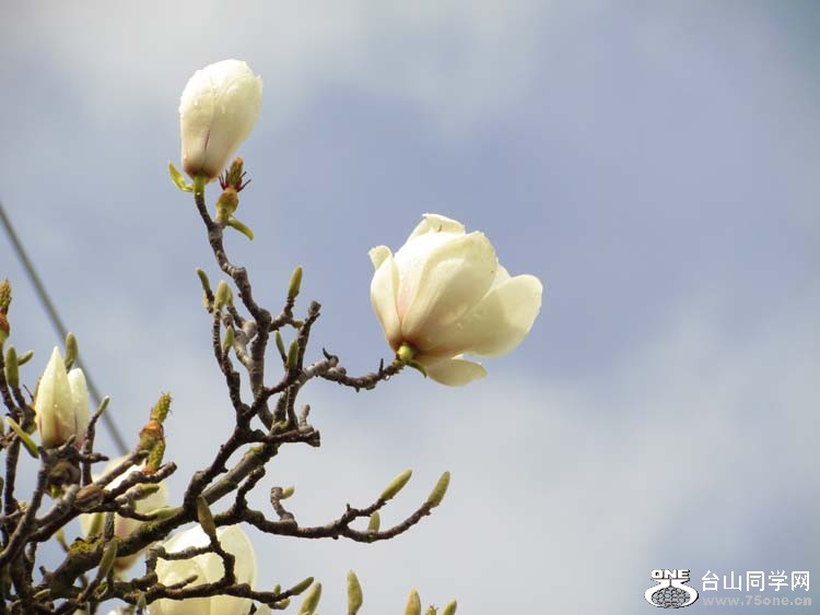 IMG_2896.JPG