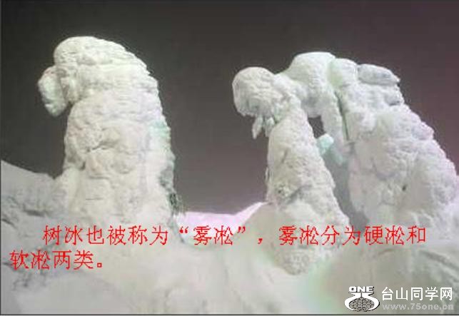 n03a.JPG