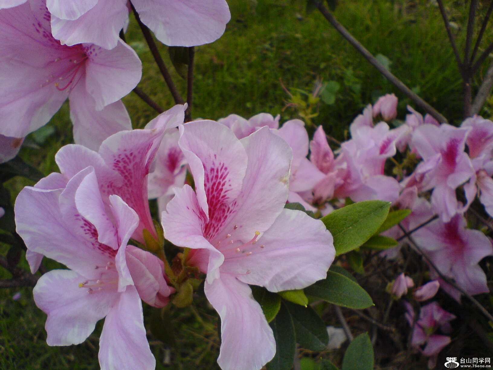 DSC05437.JPG