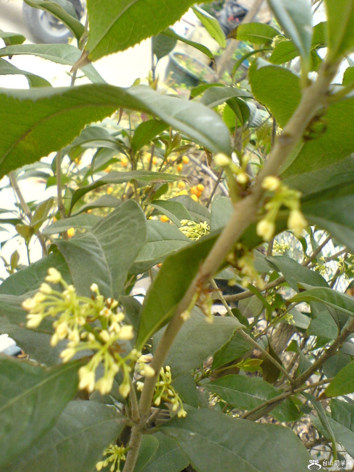 DSC05354.JPG