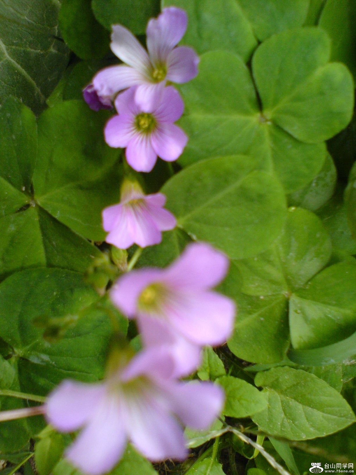 DSC05317.JPG