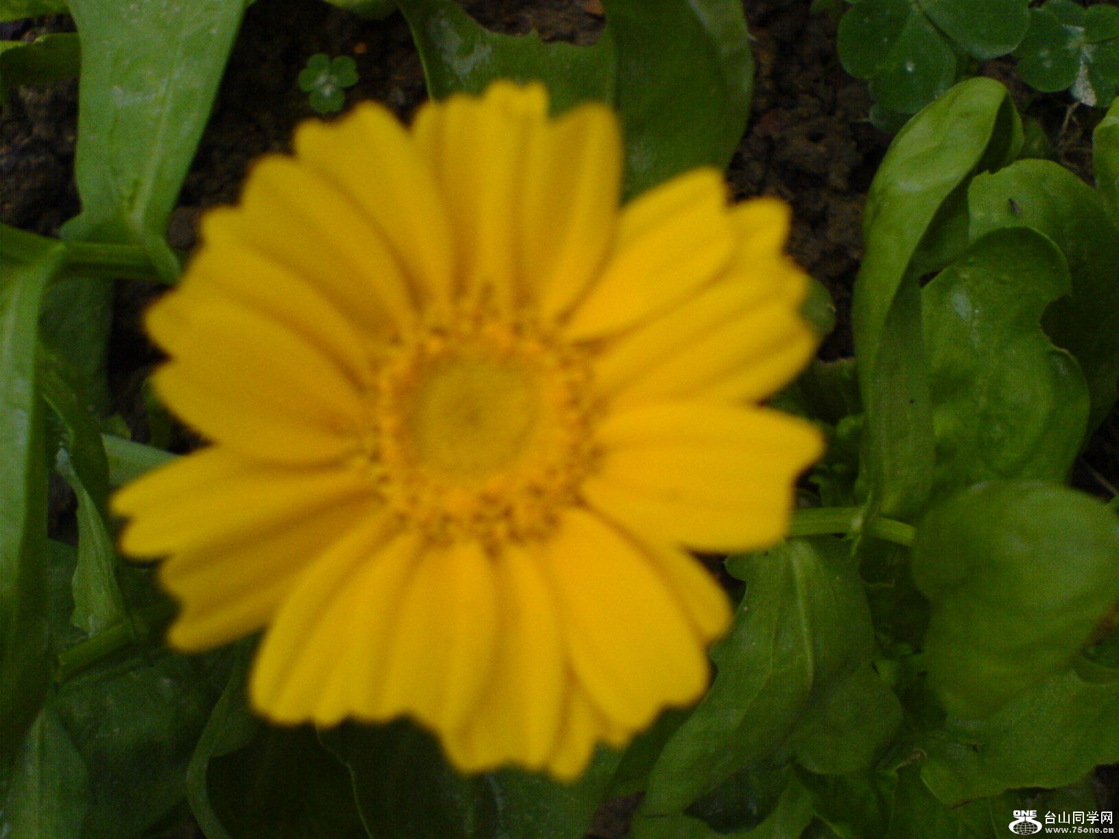 DSC05444.JPG