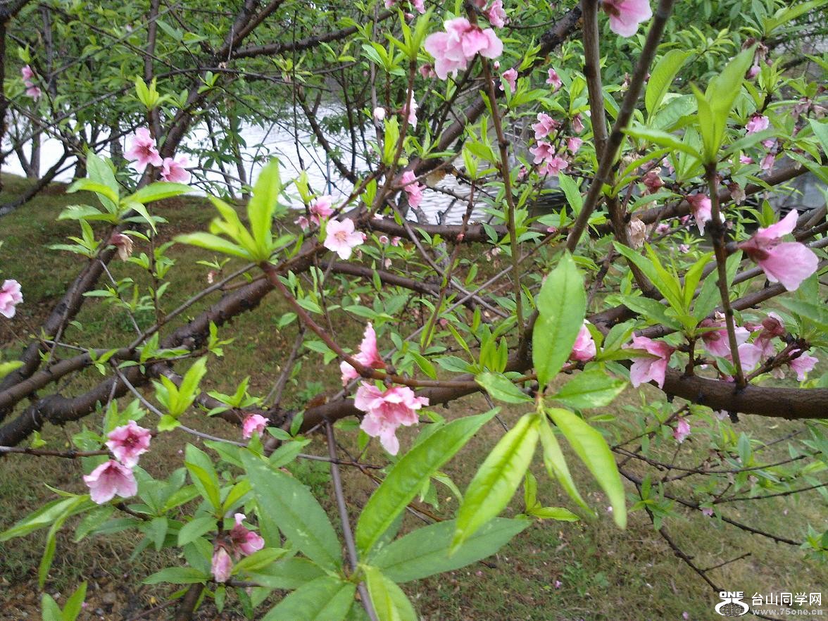 20110309692.jpg