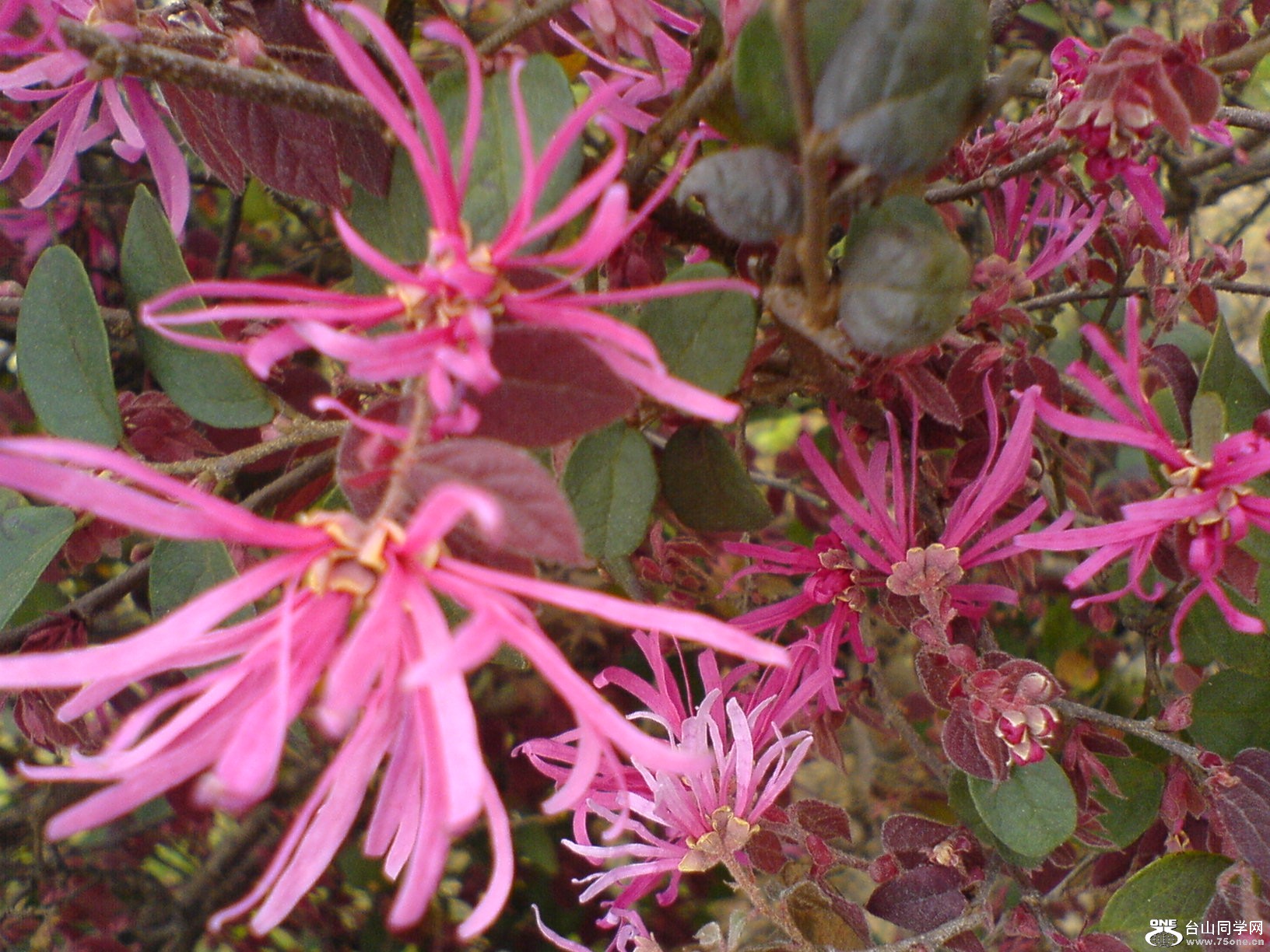 DSC05315.JPG