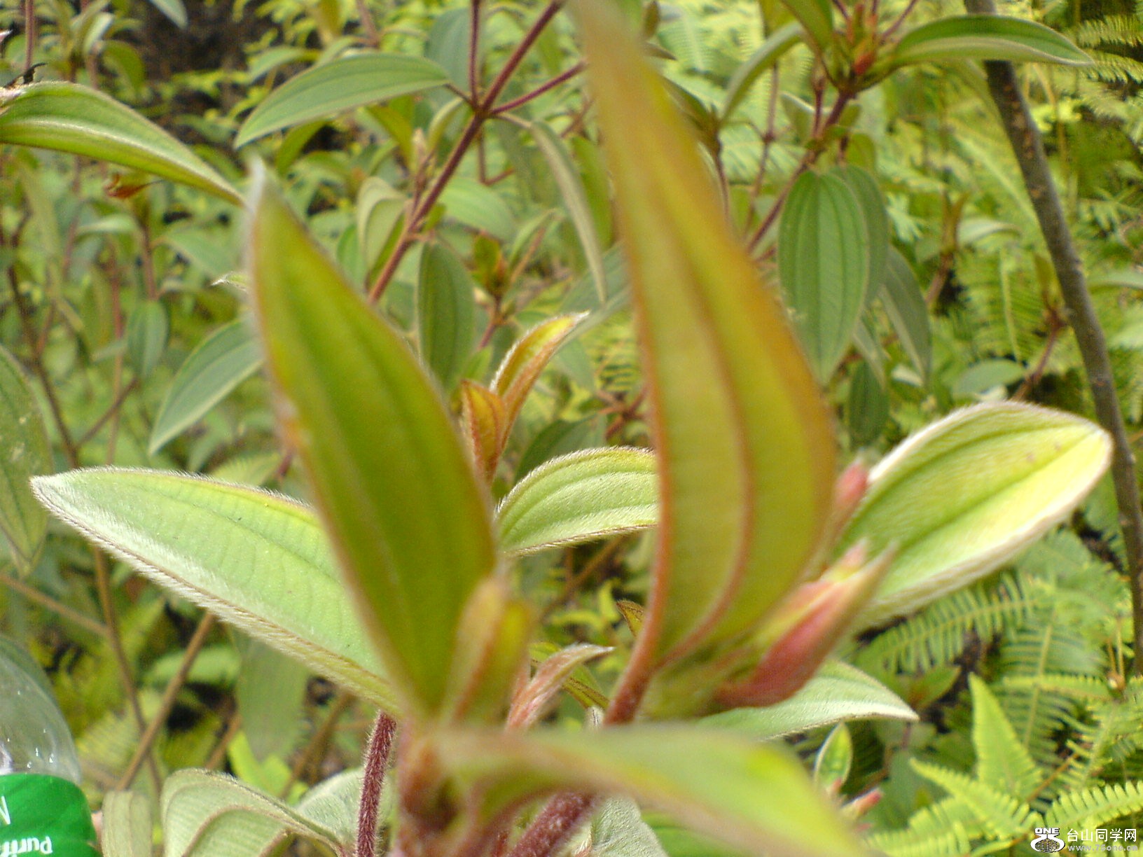 DSC05409.JPG