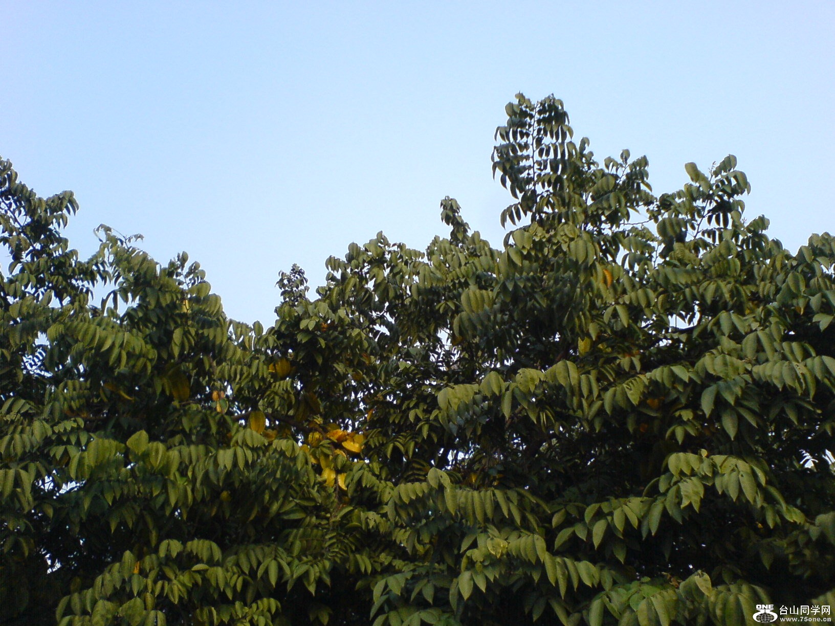 DSC05373.JPG