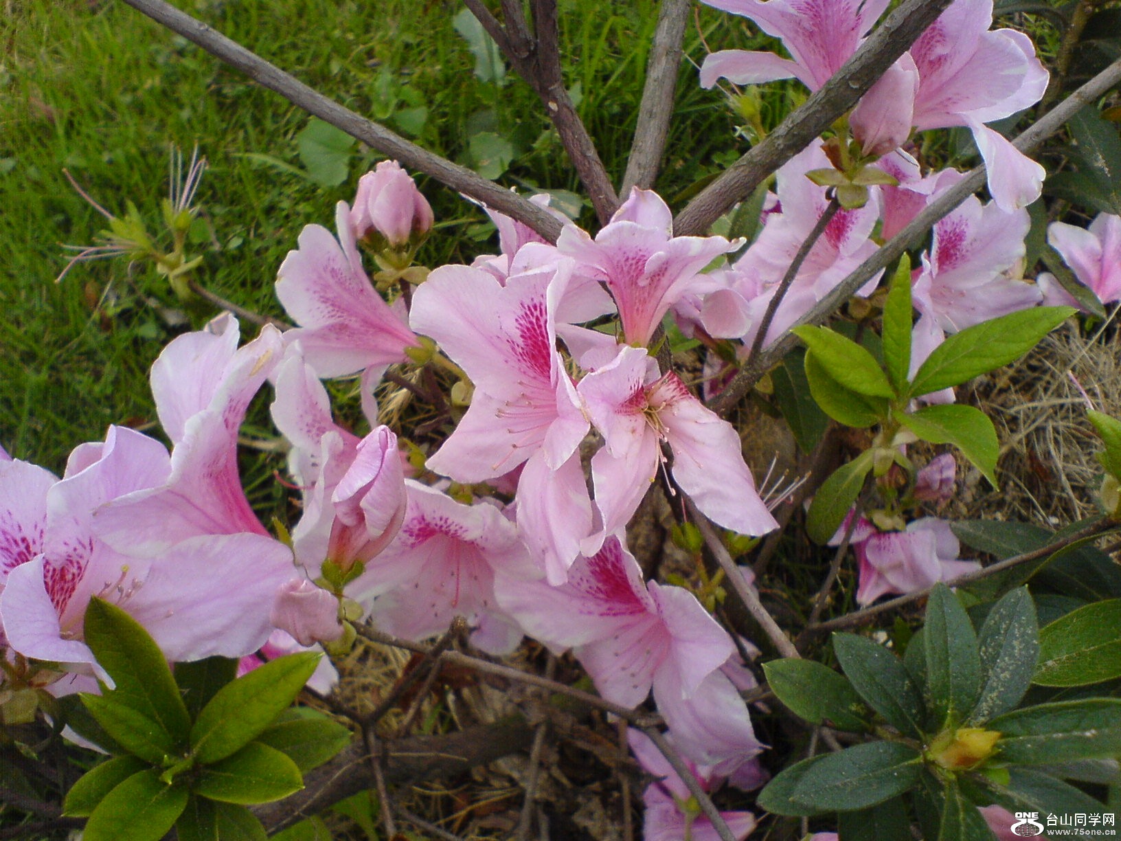 DSC05438.JPG