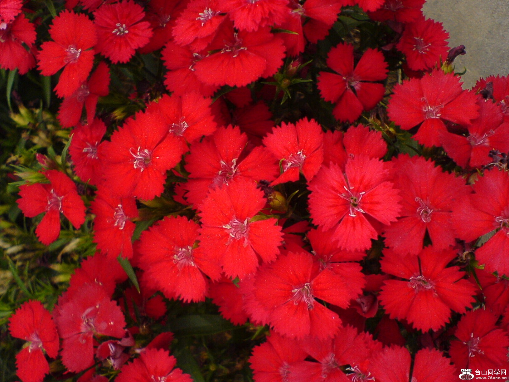DSC05314.JPG