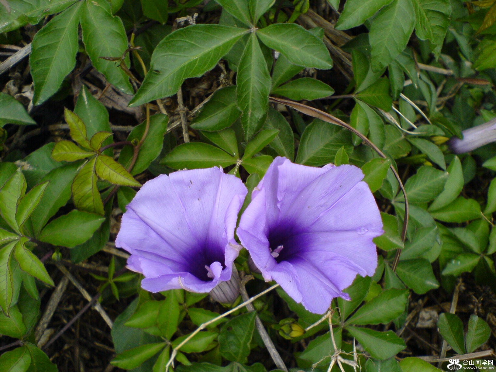 DSC05406.JPG