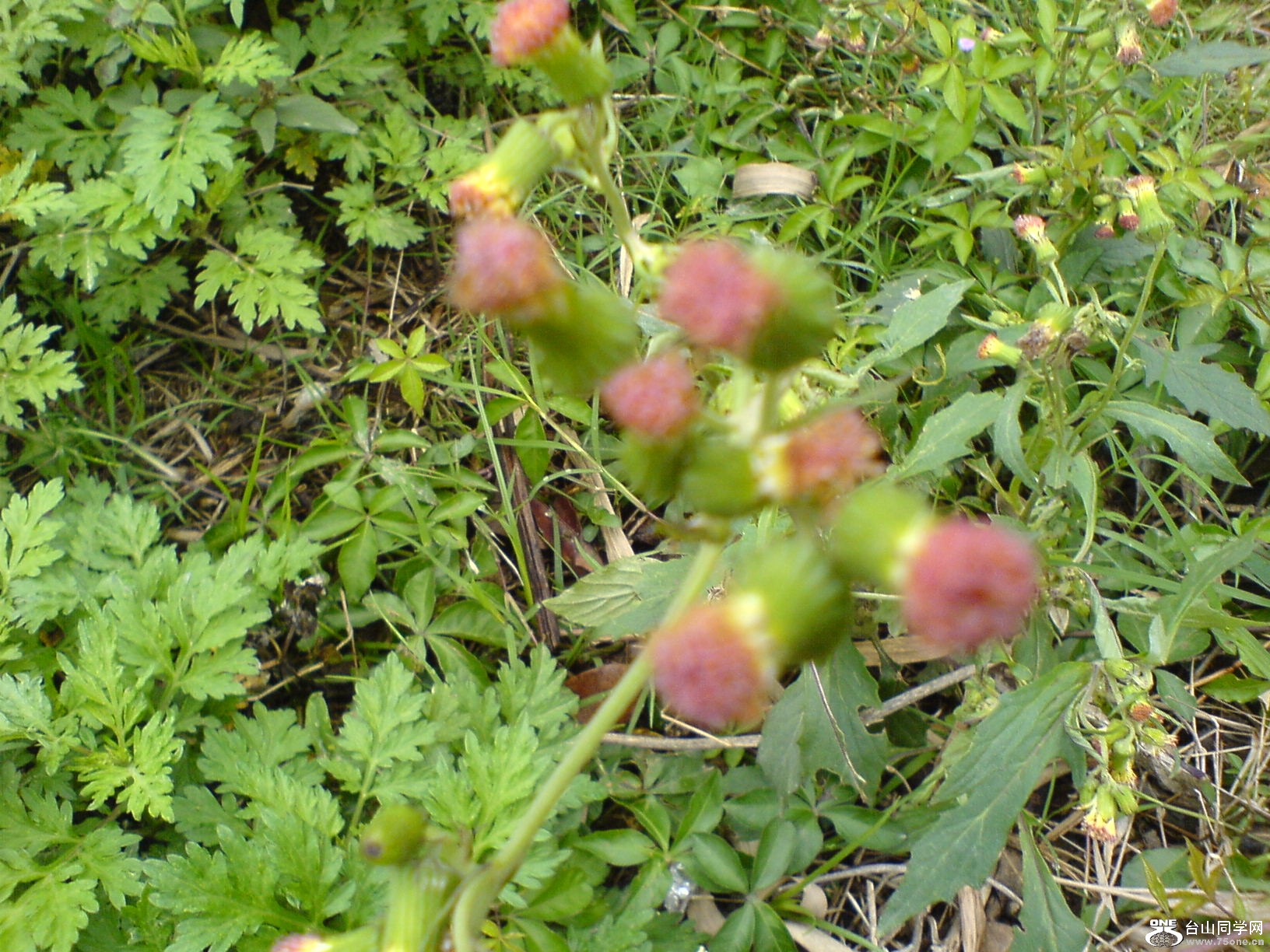 DSC05407.JPG