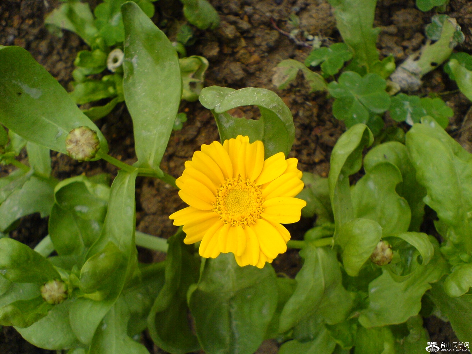 DSC05443.JPG