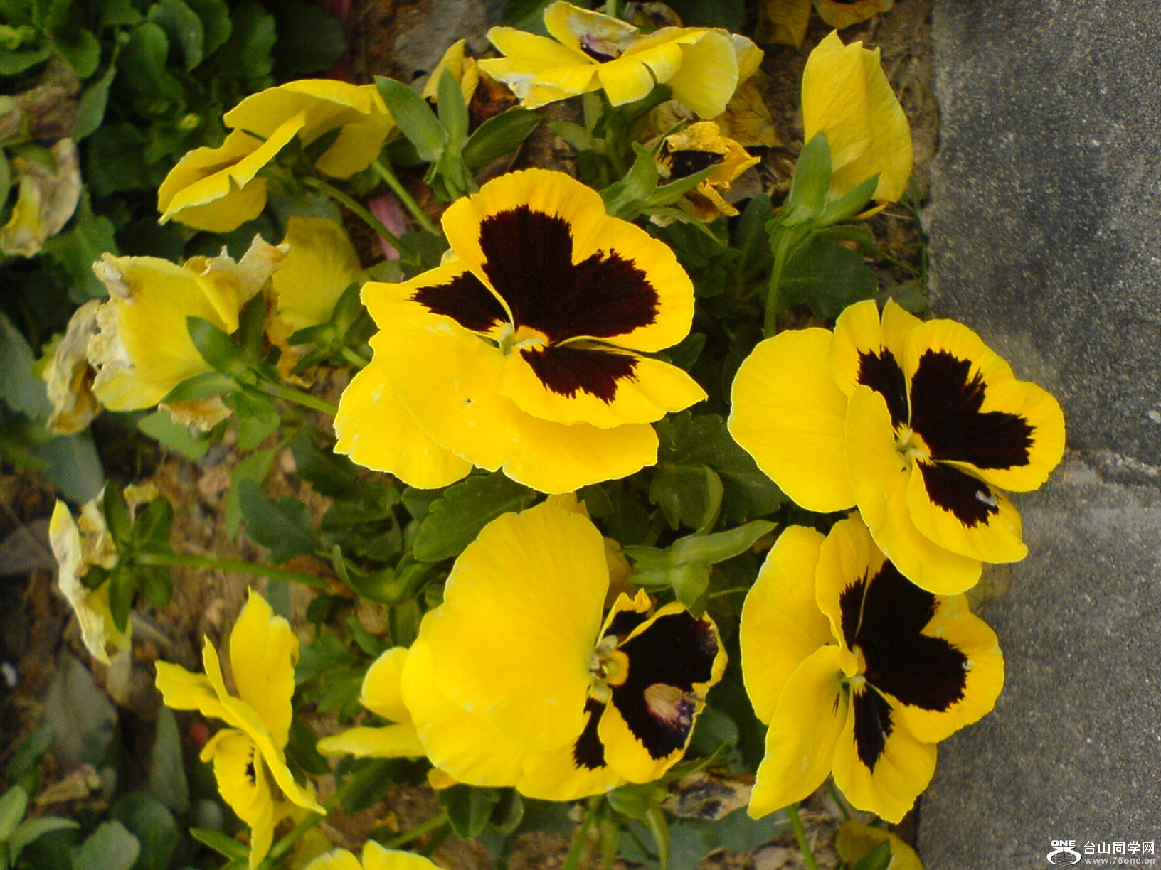 DSC05312.JPG