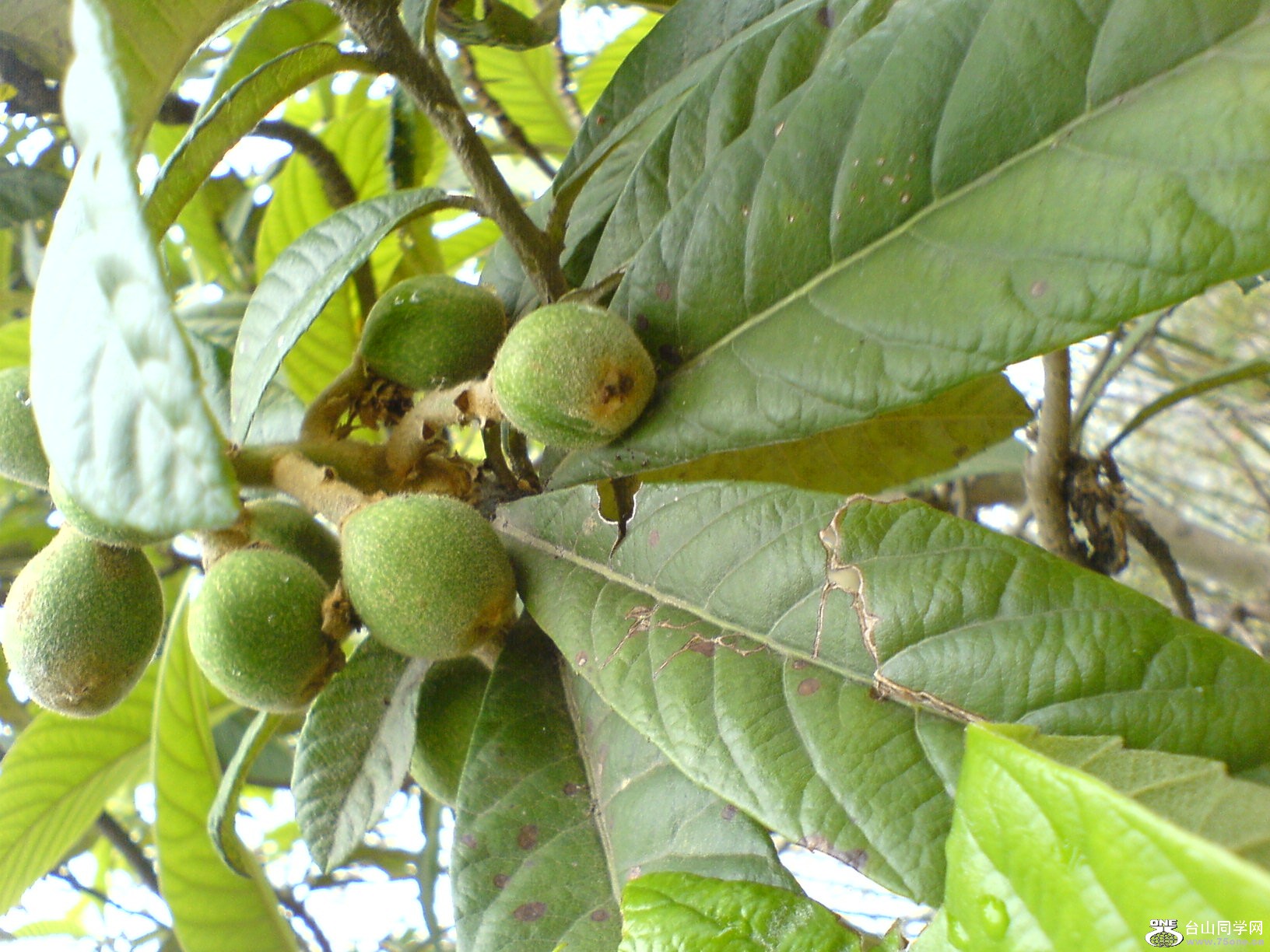 DSC05401.JPG