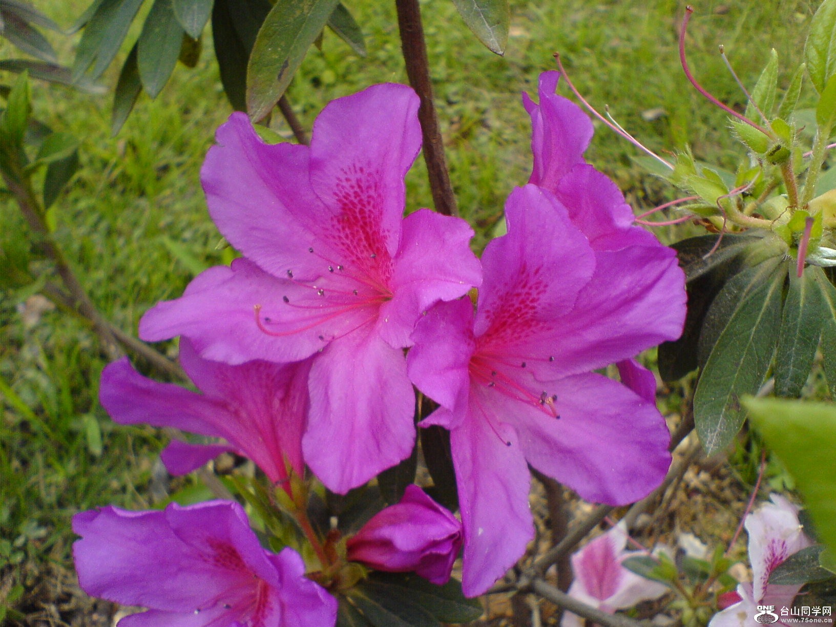 DSC05439.JPG