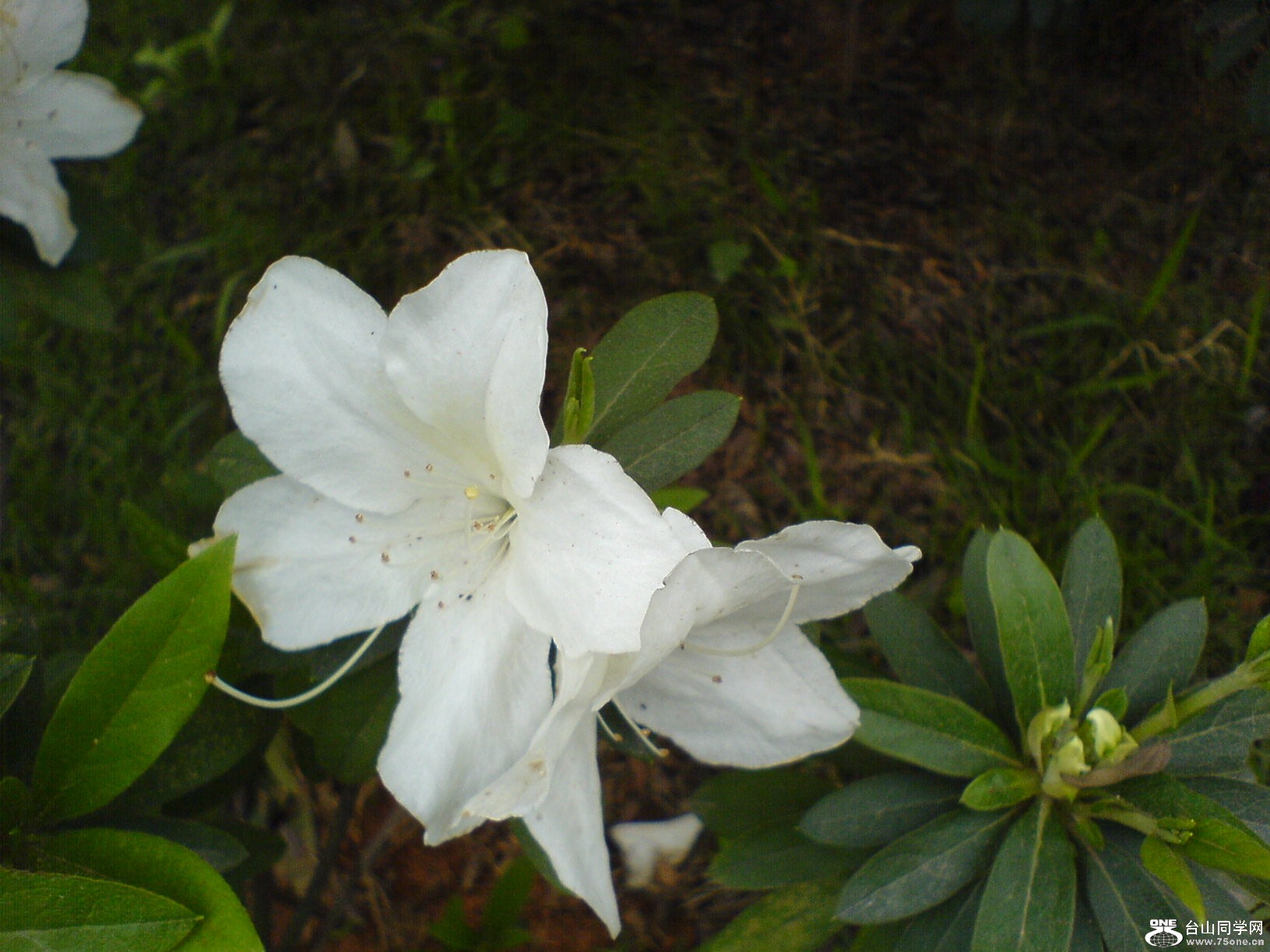DSC05440.JPG
