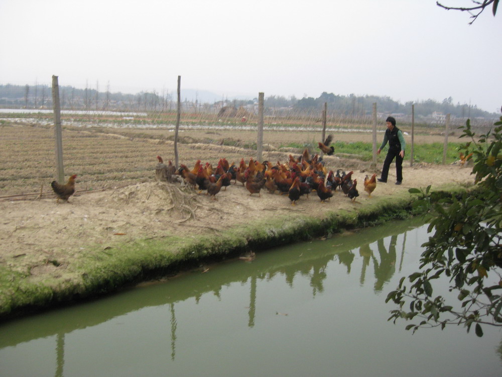 2011.3.3. 077.jpg