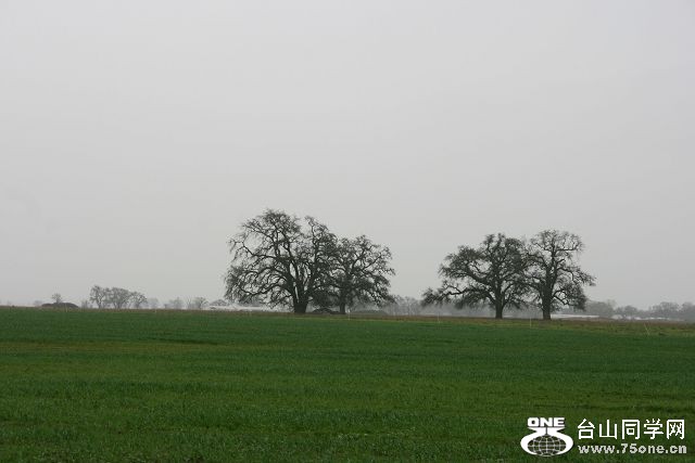 IMG_8562.jpg