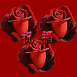 200611112472476211.jpg