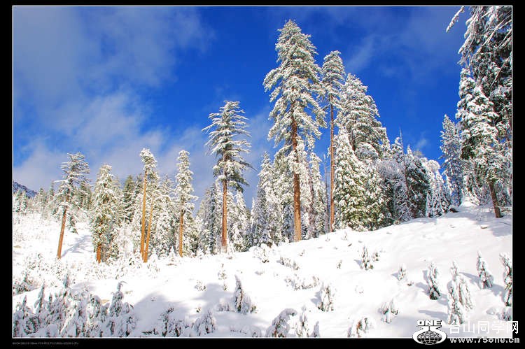 DSC_1630.jpg