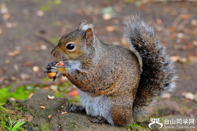 DSC_4781_conew2.jpg