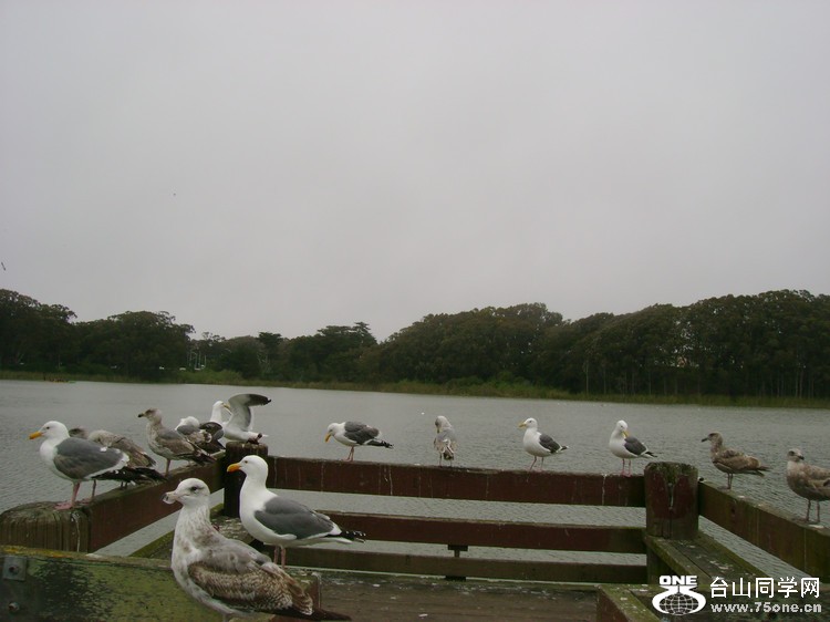 1403997183834748814[1].jpg