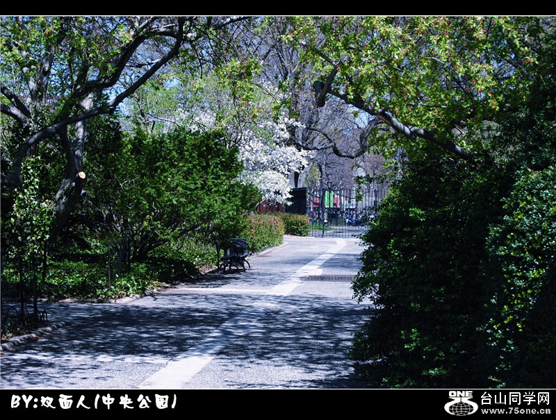 Picture 006_.jpg