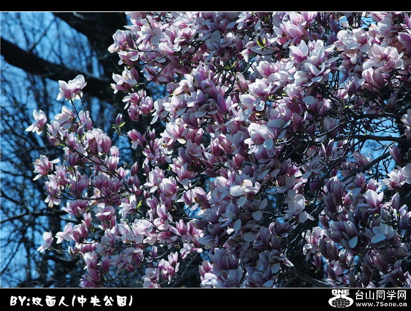 Picture 057_.jpg