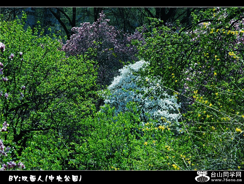 Picture 047_.jpg