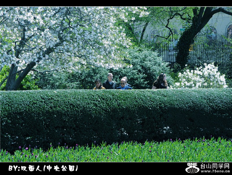 Picture 042_.jpg