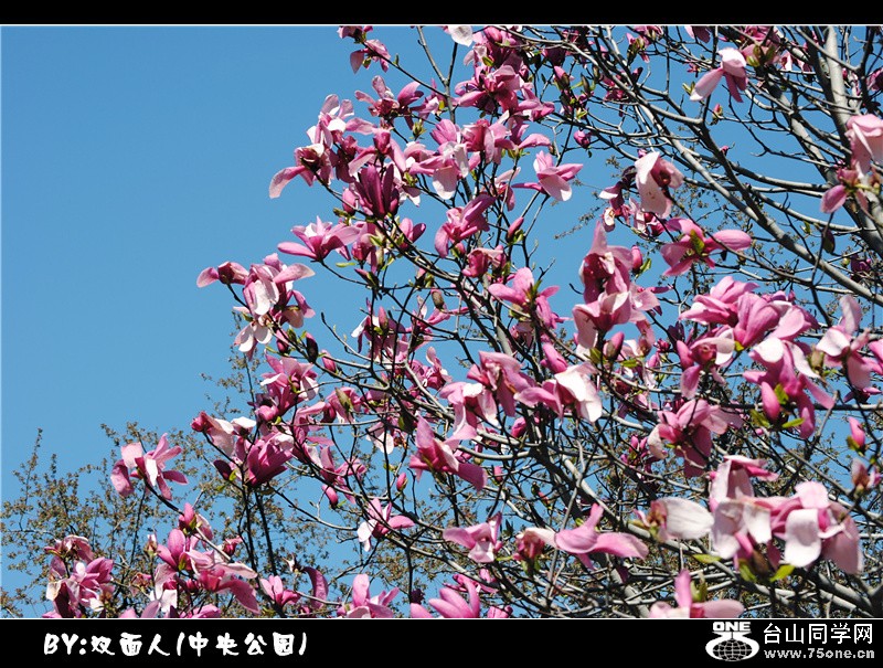 Picture 059_.jpg