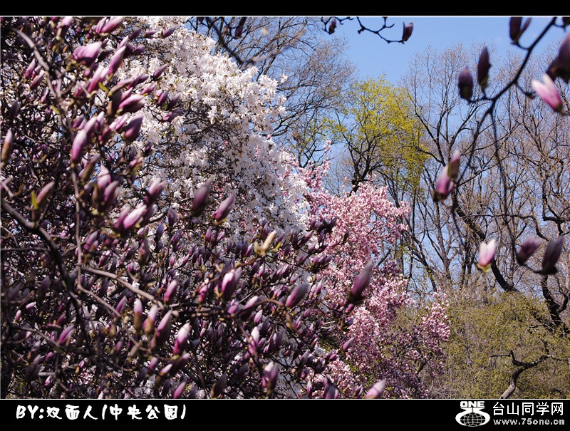 Picture 070_.jpg