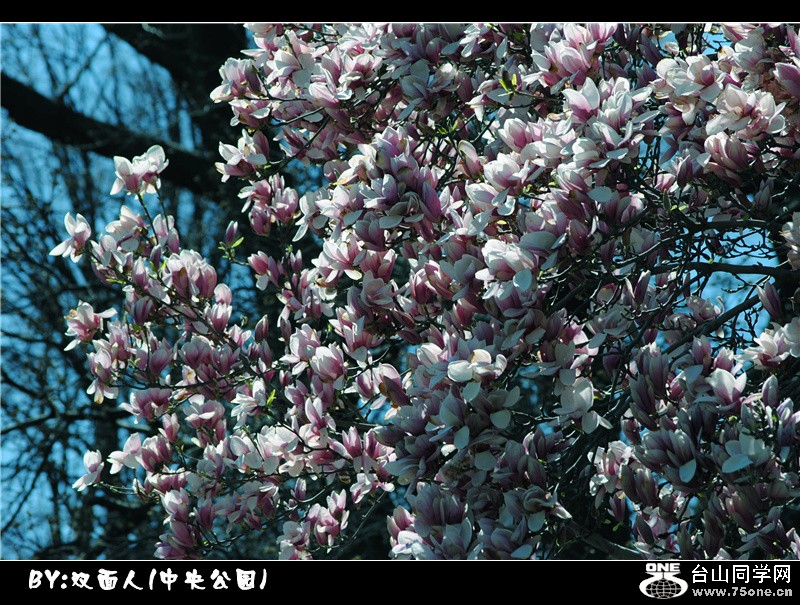 Picture 055_.jpg