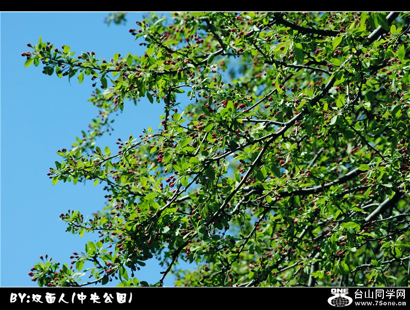 Picture 045_.jpg