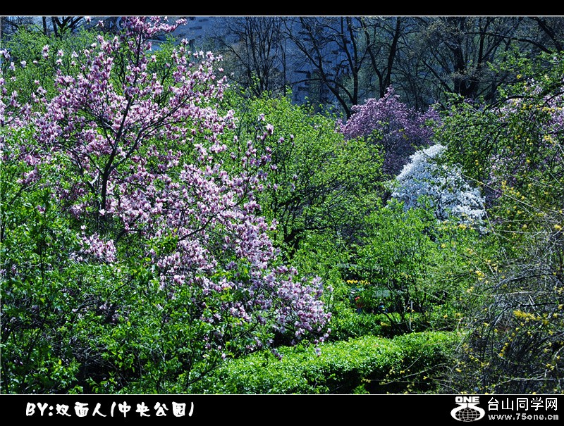 Picture 046_.jpg
