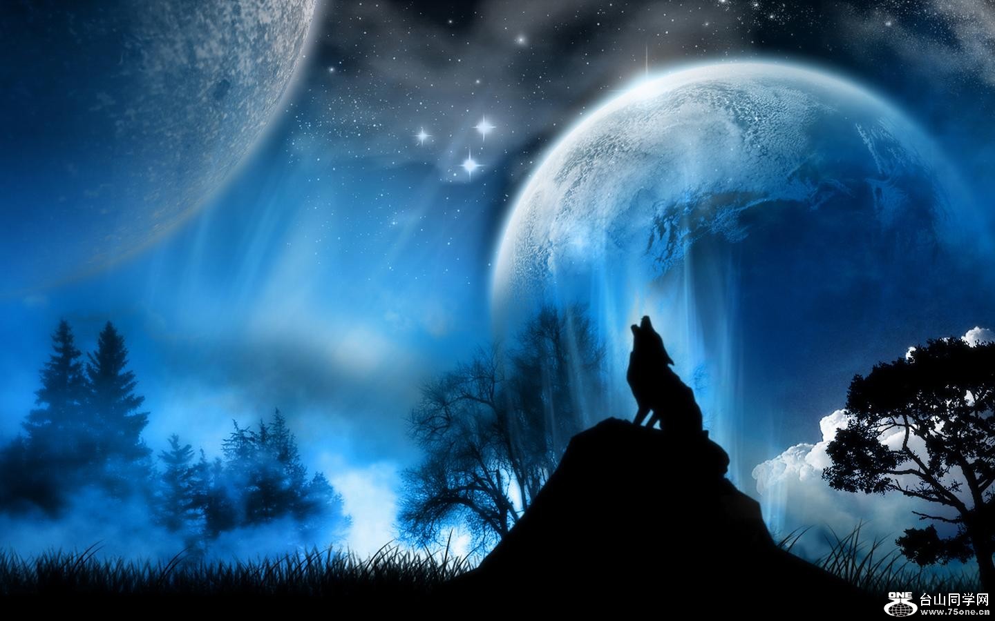 Wonderland_1440x900.jpg