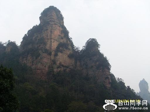 SL372416.JPG