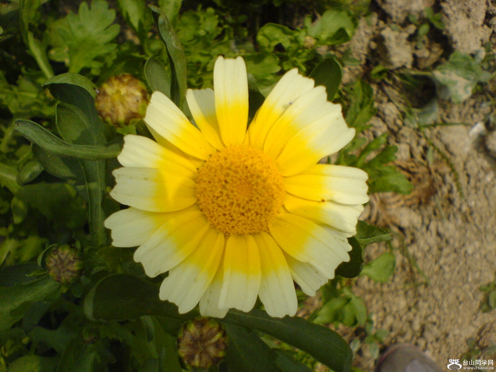 DSC05494.JPG