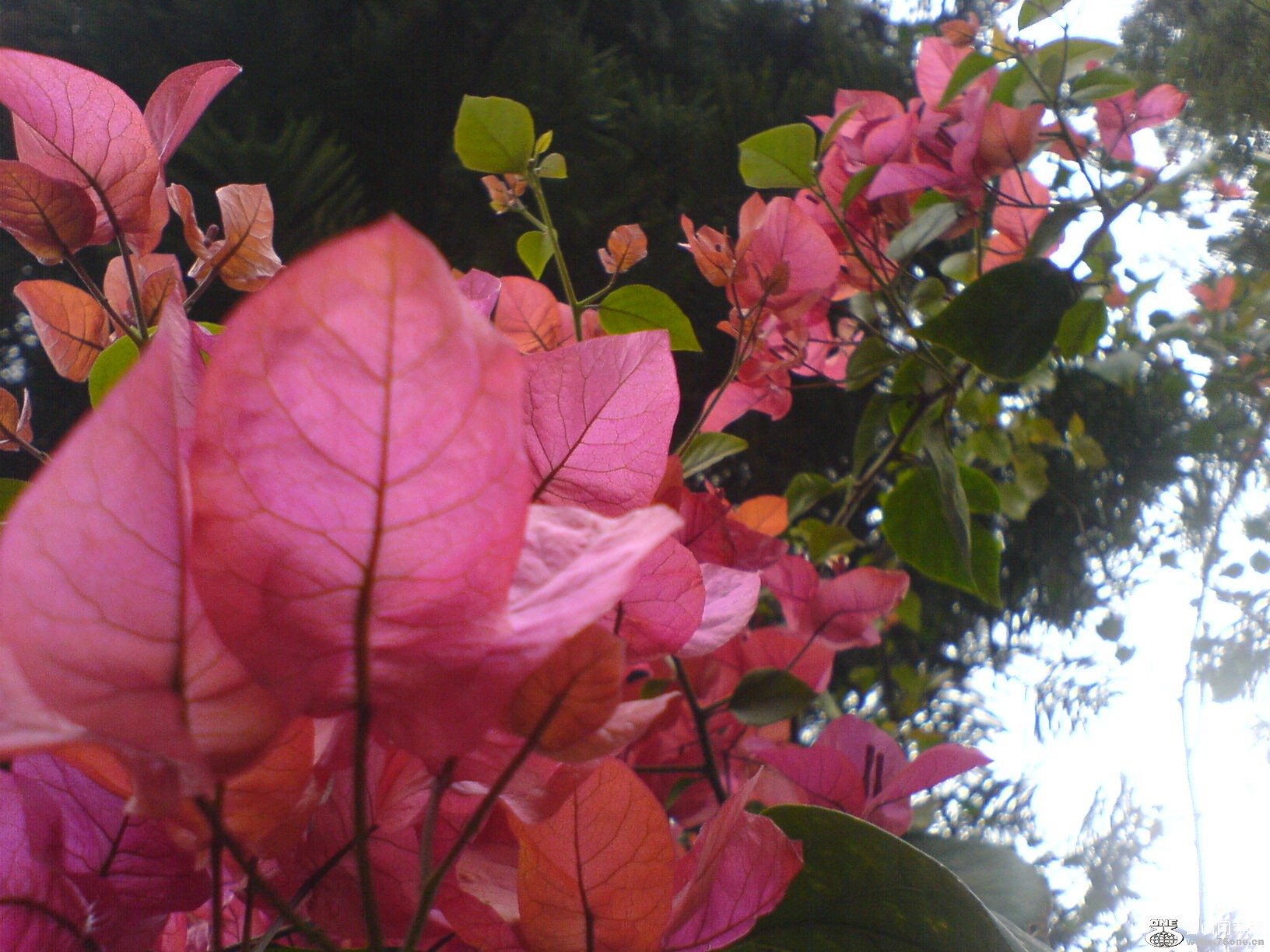 DSC05502.JPG