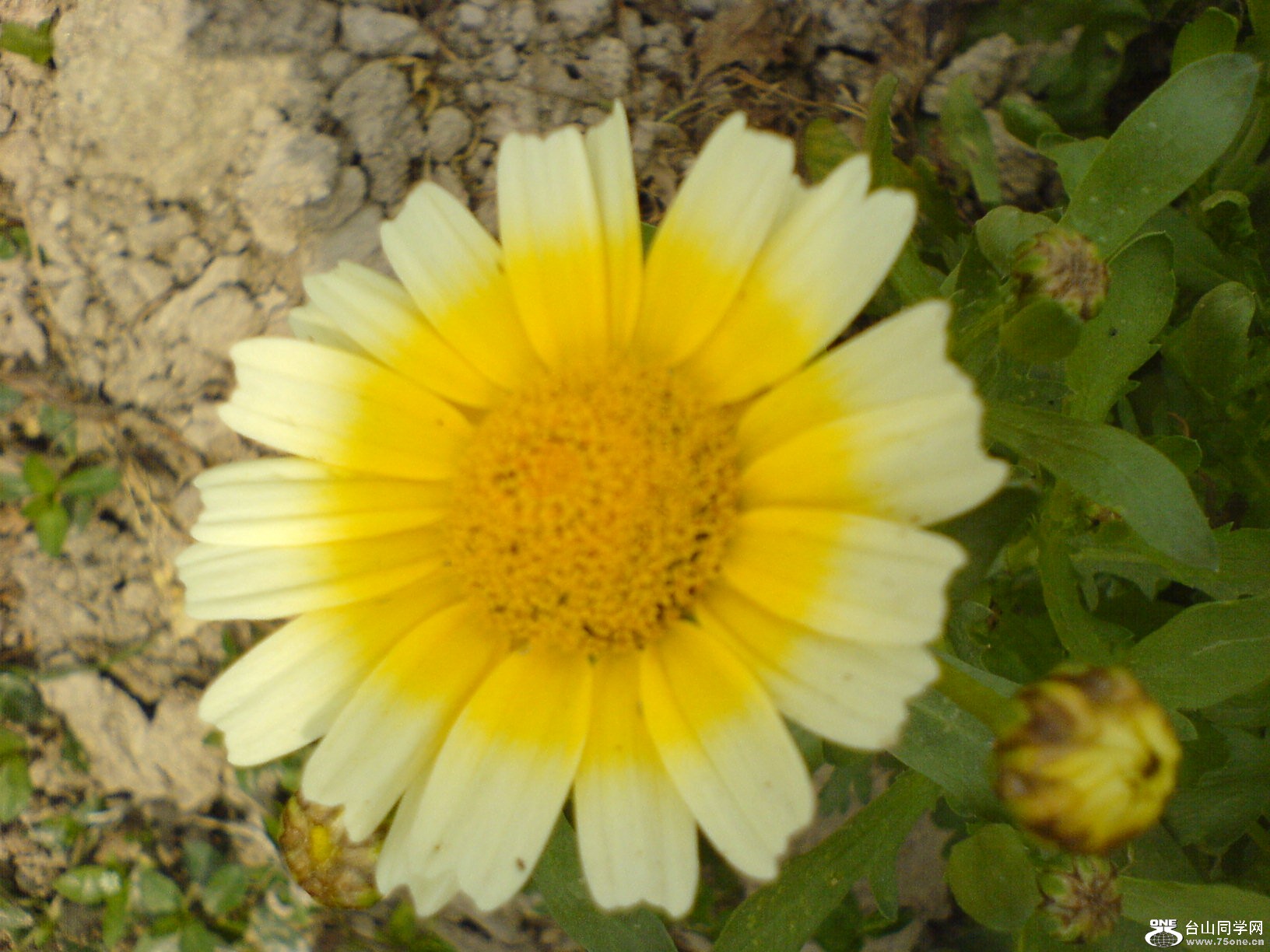 DSC05490.JPG