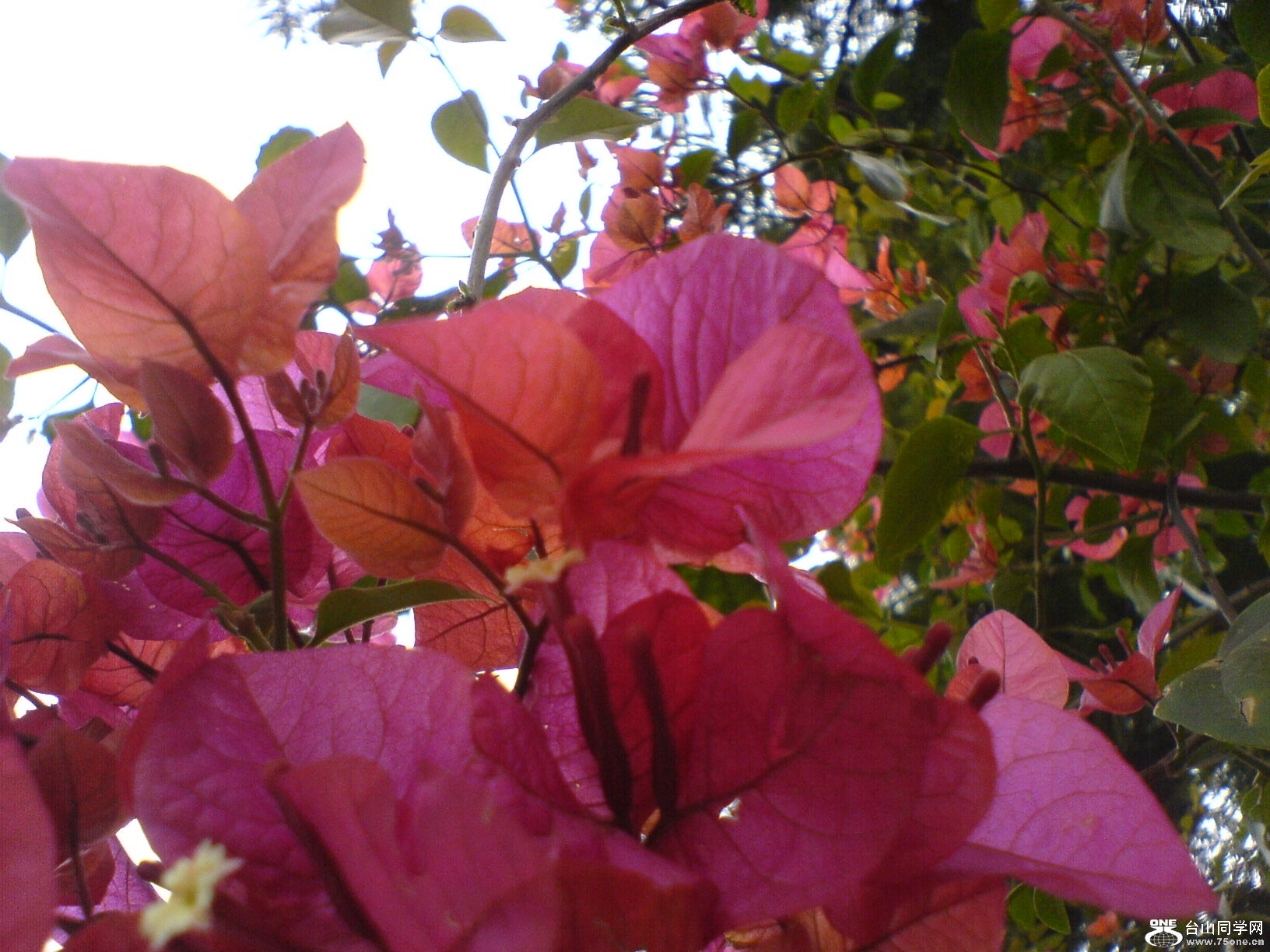 DSC05509.JPG