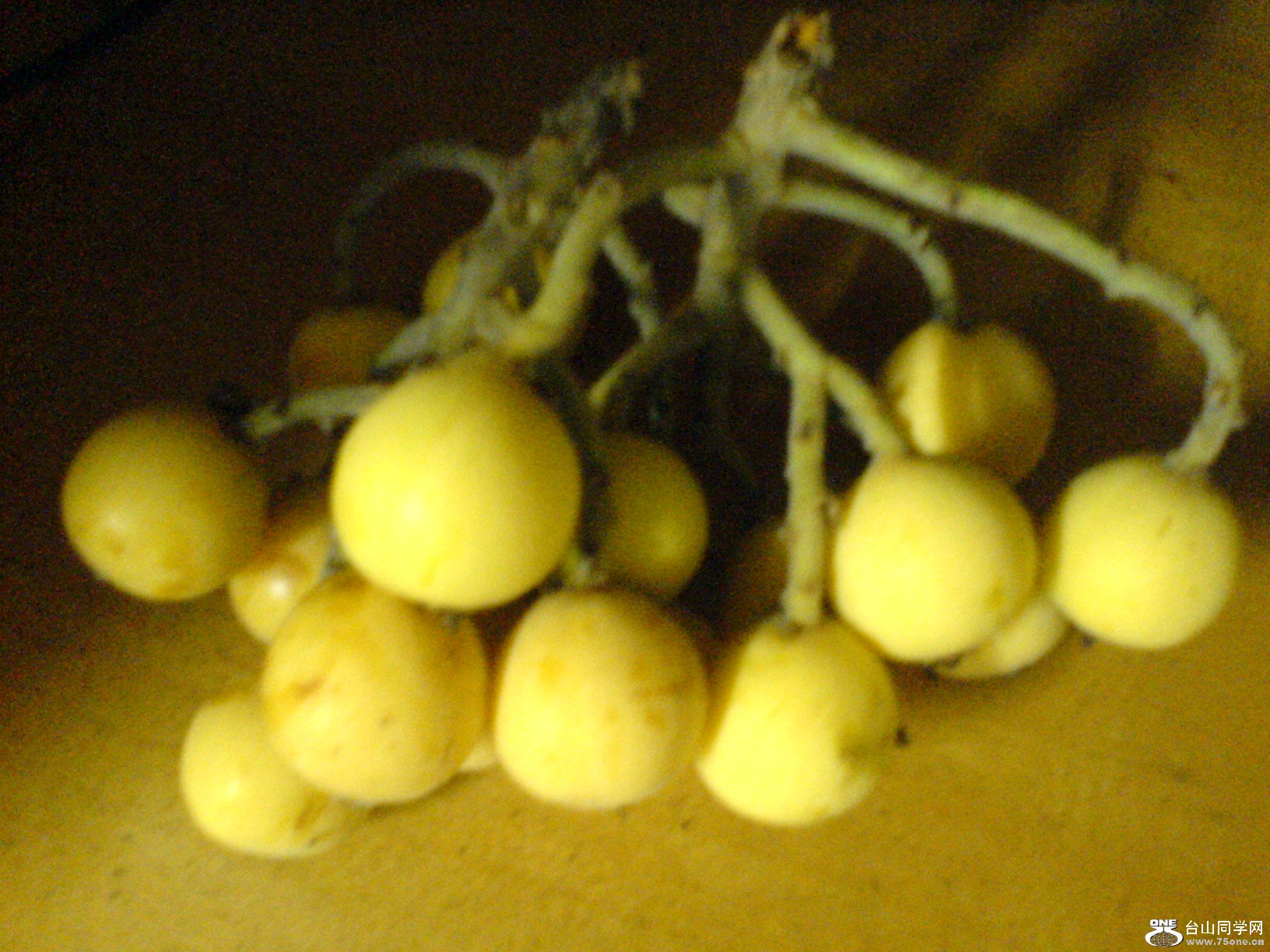 DSC05560.JPG