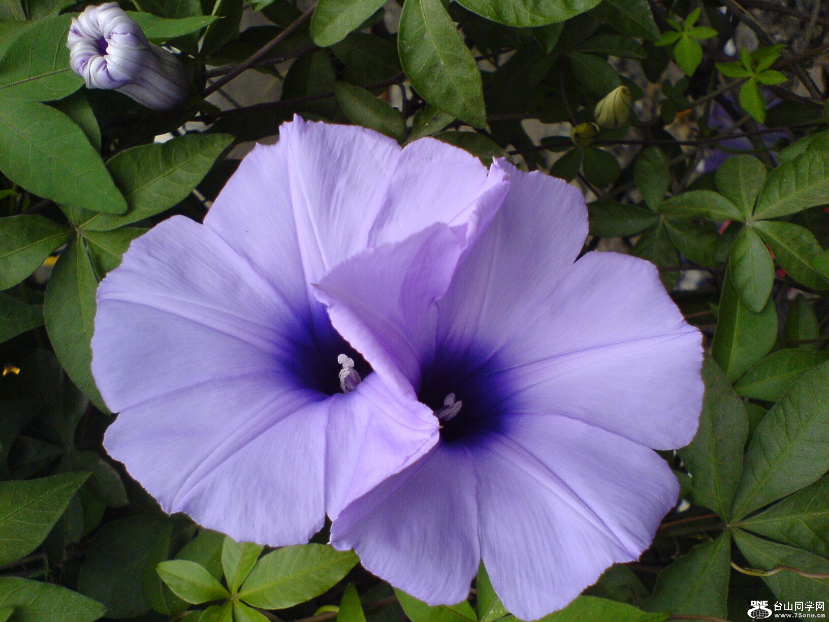 DSC05518.JPG