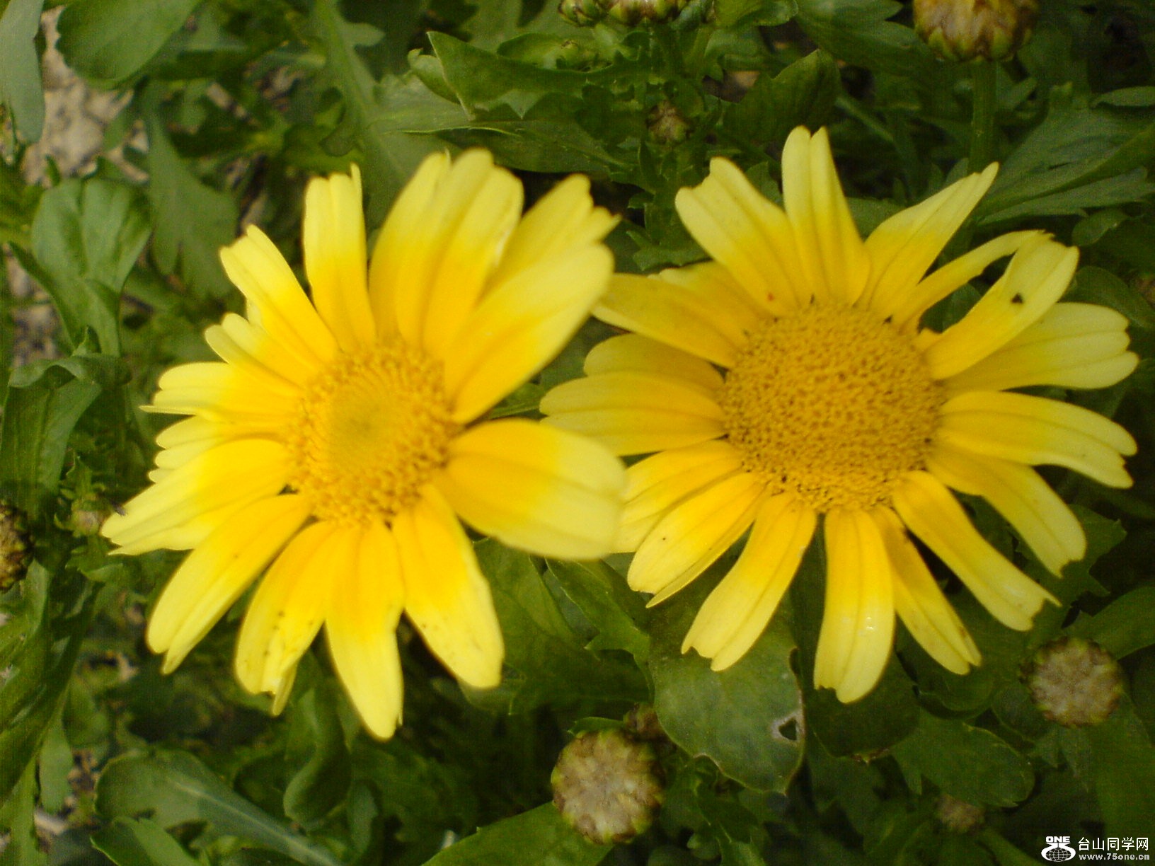 DSC05485.JPG