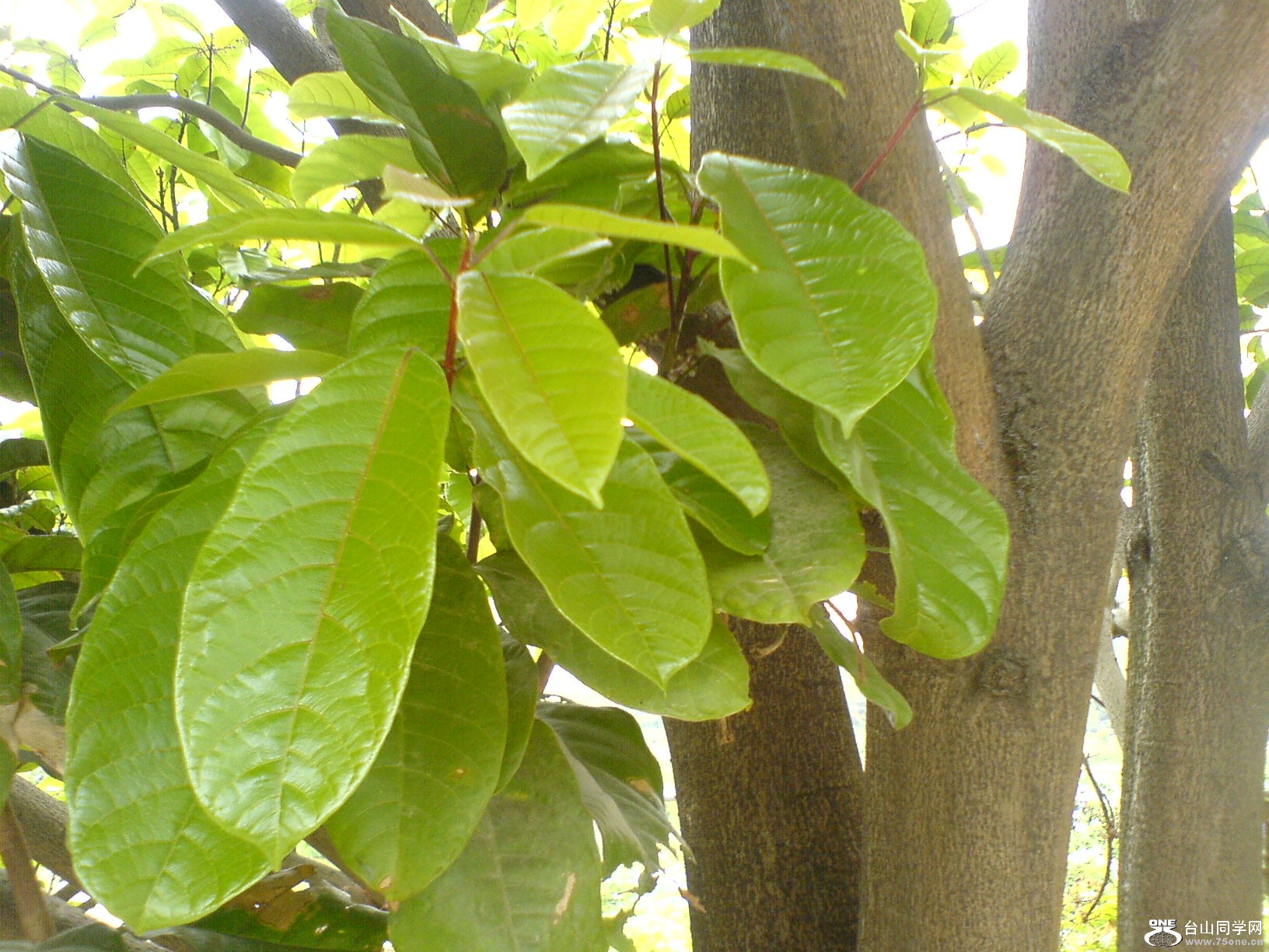 DSC05546.JPG