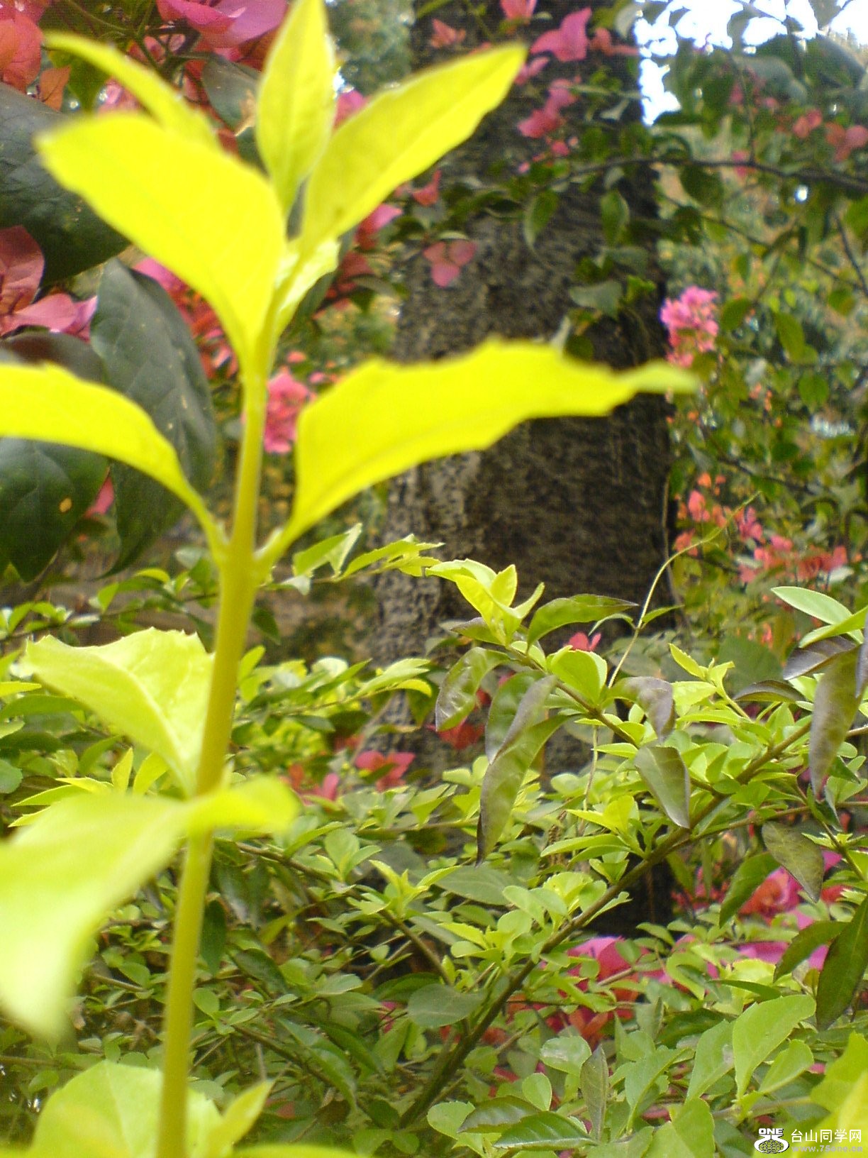 DSC05505.JPG