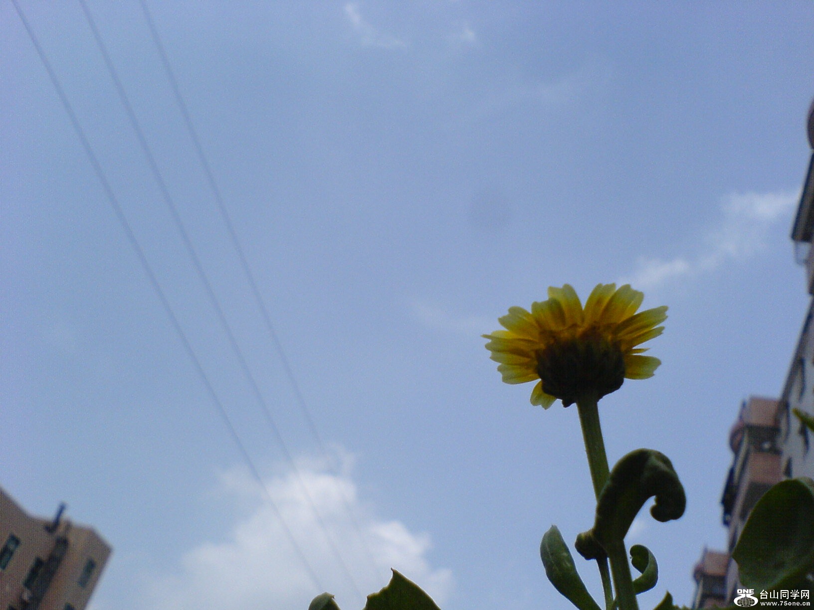 DSC05541.JPG