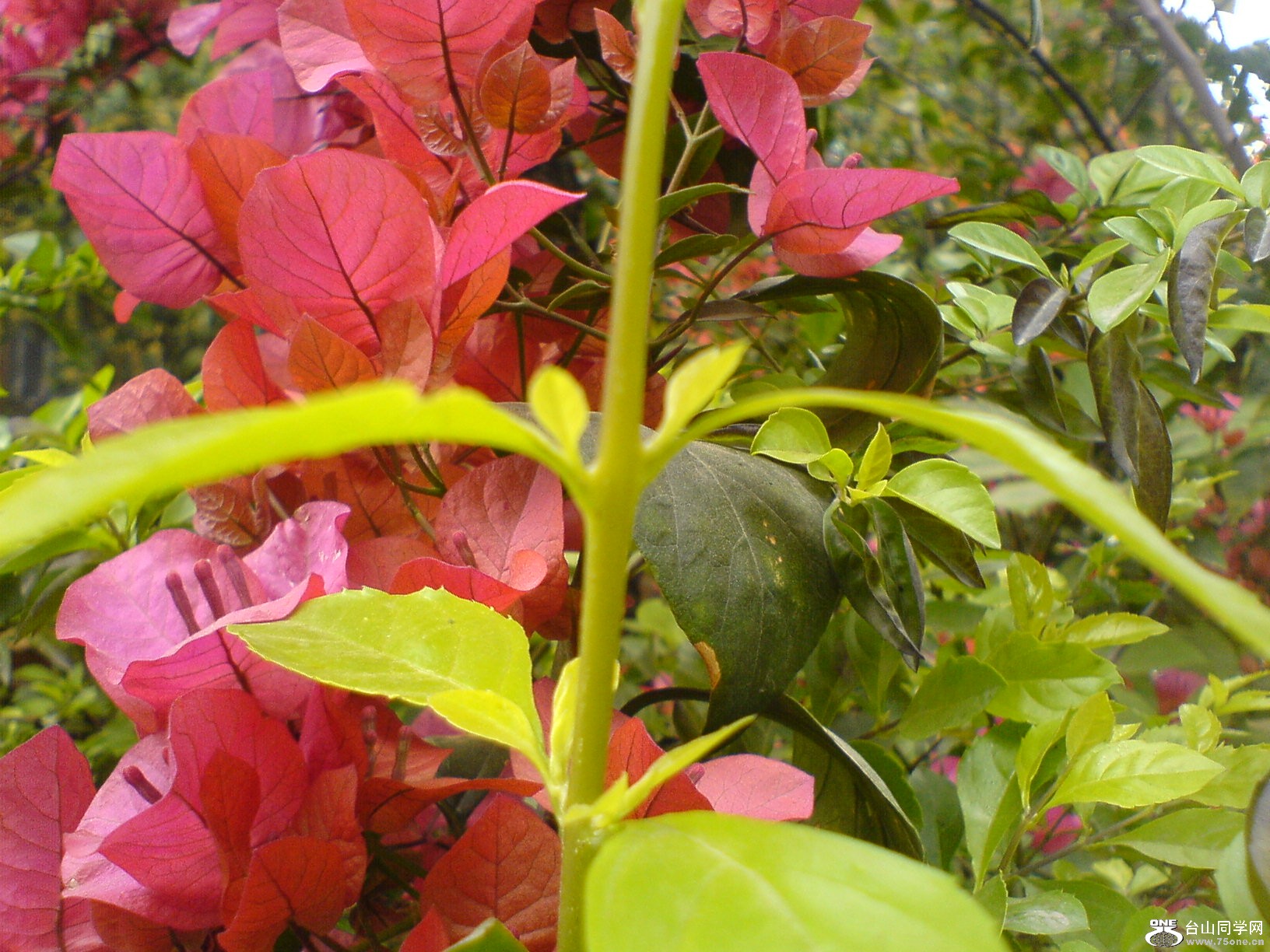 DSC05506.JPG