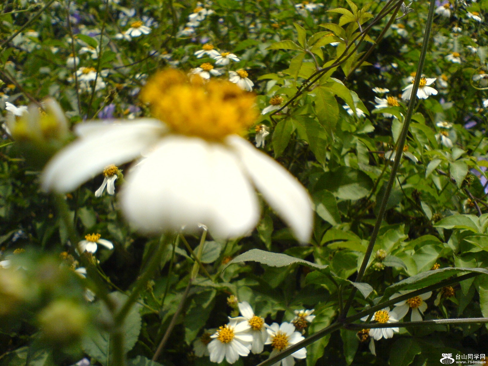 DSC05522.JPG